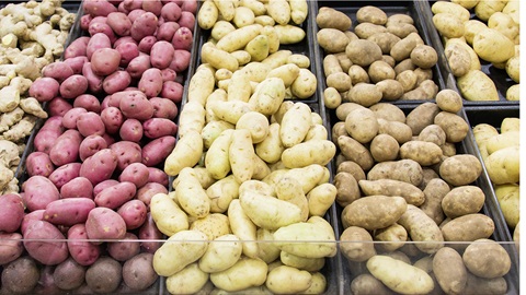 Pommes de terre